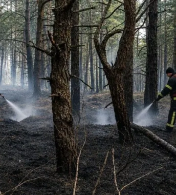 На півночі Житомирщини чотири доби гасили лісову пожежу після російських атак