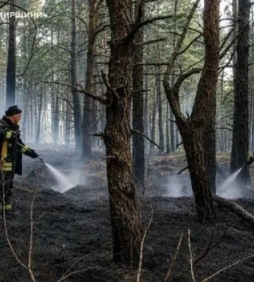 На півночі Житомирщини чотири доби гасили лісову пожежу після російських атак