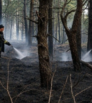 У заповіднику на Житомирщині загасили масштабну пожежу, що виникла через удари РФ