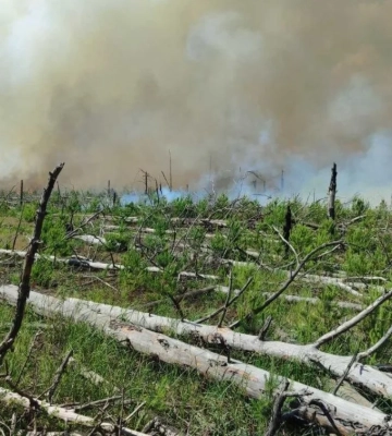 Пожежу в заповіднику на Житомирщині гасили чотири доби після атаки рф