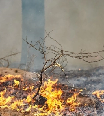 У заповіднику на Житомирщині загасили масштабну пожежу, що виникла через удари РФ