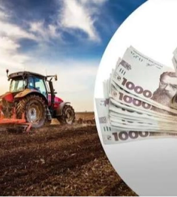 Аграрії Волині отримали 5,7 мільйона гривень безвідсоткових кредитів: триває прийом заявок
