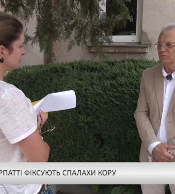 Дослівно - На Закарпатті фіксують спалахи кору (відео)