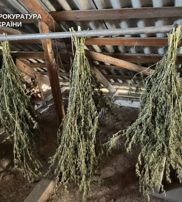 Майже 4 кілограми канабісу вилучили у жителя Рівненщини: справу передали до суду