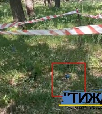 У лісі під Кам`янкою замість грибів знаходять рештки російських дронів