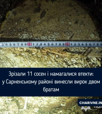 Зрізали 11 сосен і намагалися втекти: у Сарненському районі винесли вирок двом братам