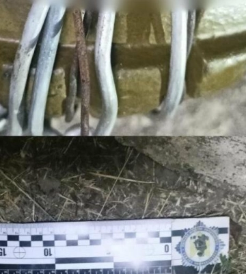Раніше судимий за вбивство житель Одещини отримав вирок за хуліганство