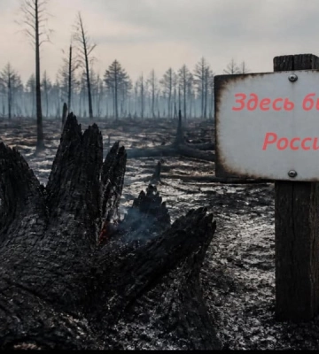 Обстріли 2024−25 років знищили тисячі гектарів лісових насаджень на Луганщині — ОВА