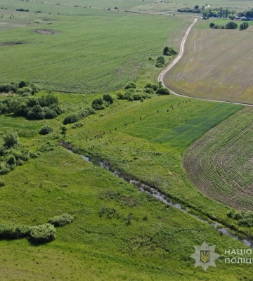 Понад місяць шукали як зниклу: на Волині розкрили вбивство 67-річної жінки