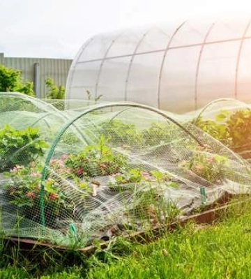 Для чого потрібні садові сітки: 5 переваг використання