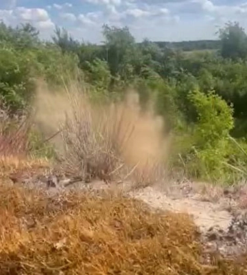Небезпечну знахідку виявили на подвір’ї: на Рівненщині знищили гранату часів Другої світової війни
