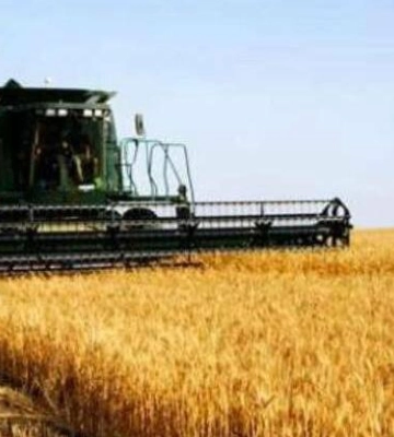 На Одещині стартували жнива: аграрії вже збирають перший врожай