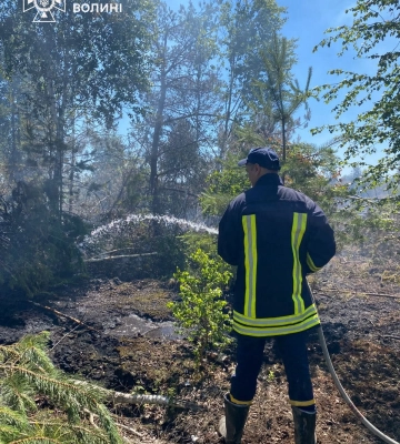 На Волині рятувальники другий день ліквідовують тління торфовища на площі 4 гектари