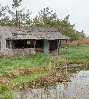 Громада на Волині віддає в оренду ставок за 3670 гривень. Фото