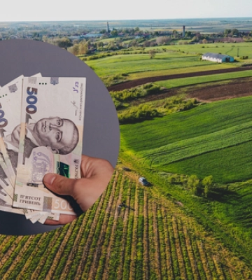 Є кілька простих способів: як дізнатися суму податку на землю