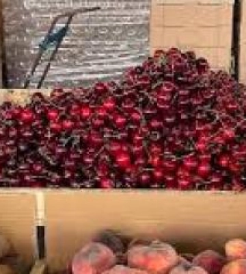 Сезонні овочі та фрукти стрімко дешевшають