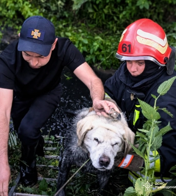 Упав у канаву з водою глибиною 3 метри: у Винниках врятували чотирилапого