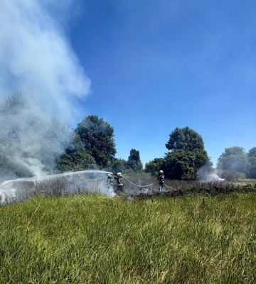 На Волині через необережне поводження з вогнем ледь не згоріла господарська будівля