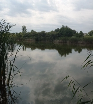 На Волині здають в оренду дві водойми: стартові ціни - від 15 тисяч гривень