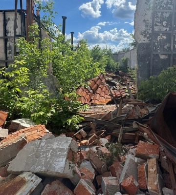 В Мінкультури обговорюють з місцевою владою перспективи відновлення музею в Іванкові, де експонувалися картини Примаченко