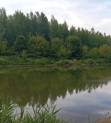 На Берегівщині дітей у воді віднесло течією: трьох врятували, одного хлопчика ще шукають