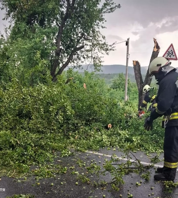 Закарпатські рятувальники ліквідували наслідки негоди