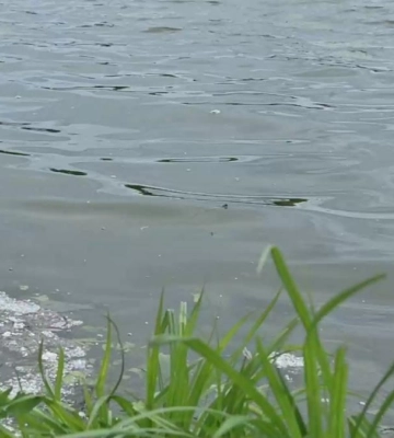На Рівненщині за вихідні вода та вогонь забрали чотири дитячих життя (ВІДЕО)