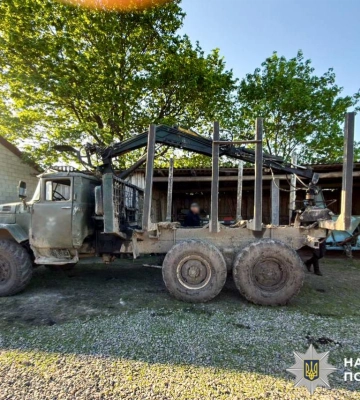 На Рівненщині викрили незаконну вирубку сосен у заказнику: збитки перевищили 2,5 мільйона гривень