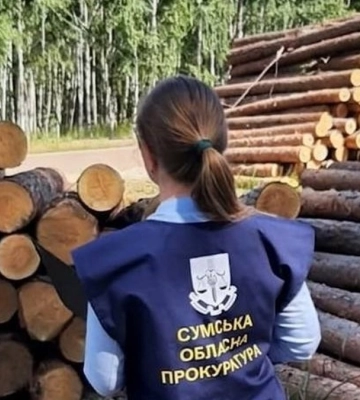 На Сумщині викрито підприємця, який завдав незаконними вирубками збитків на майже 36 млн грн – прокуратура