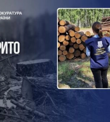 Масштабна порубка дерев зі збитками на 36 млн грн – на Сумщині викрито підприємця
