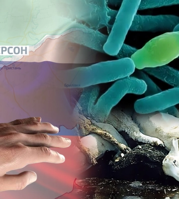 Біологічний тероризм на Херсонщині: окупанти створюють умови для поширення сибірської виразки