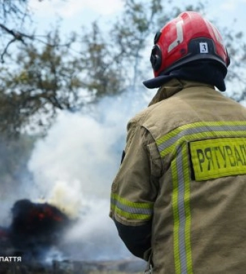 Закарпаття у вогні: понад 800 гектарів вигоріло з початку року, є постраждалий