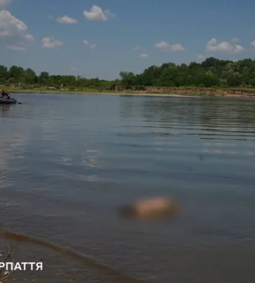 На Закарпатті з Тиси дістали тіло зниклої дитини