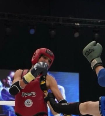 Понад 500 спортсменів взяли участь у чемпіонаті з бойових мистецтв у Києві