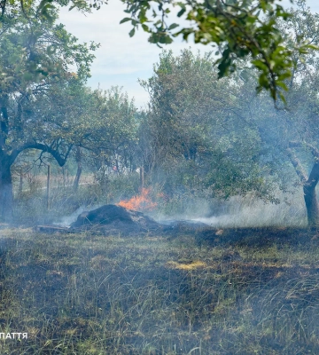На Закарпатті від початку року ліквідовано вже 1165 пожеж в екосистемах