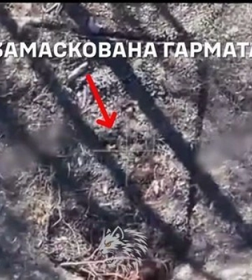Морпіхи 34-ї ОБрМП та оператори СБУ знищили гармату окупантів, яка обстрілювала Херсон. ВIДЕО