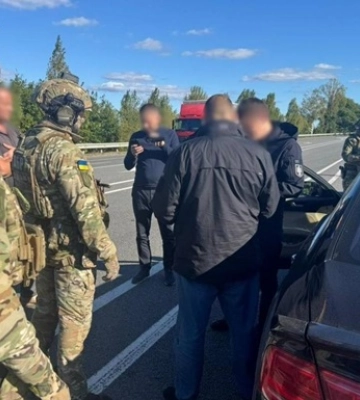 Легалізація 10 тисяч незаконно зрубаних дубів: викрито схему на 147 млн
