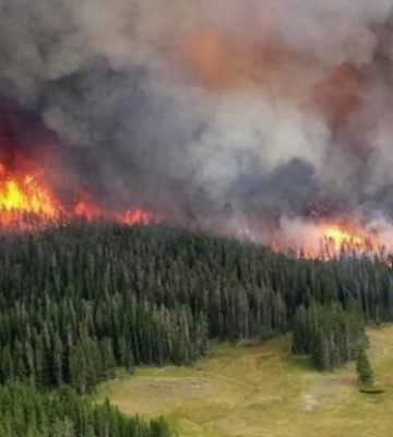 У Сибіру горить майже 150 тисяч га лісу