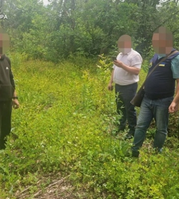 В Днепропетровской области раскрыты две группы "черных лесорубов"
