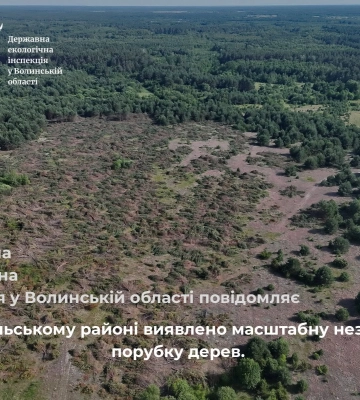 На Рівненщині виявили незаконну вирубку десятків дерев: збитки перевищили 400 тисяч гривень