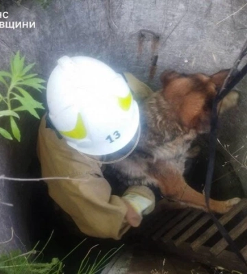 На Обухівщині рятувальники дістали собаку з глибокого колодязя