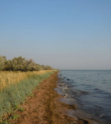 росія не полишає спроб утримати Кінбурнську косу попри щоденні втрати – Плетенчук