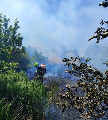 На Волині через недбалість людей виникло сім пожеж: досі гасять займання на торфовищі