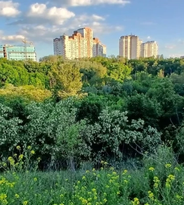 Залишиться зеленою зоною. Верховний суд підтвердив статус Протасового Яру як ландшафтного заказника