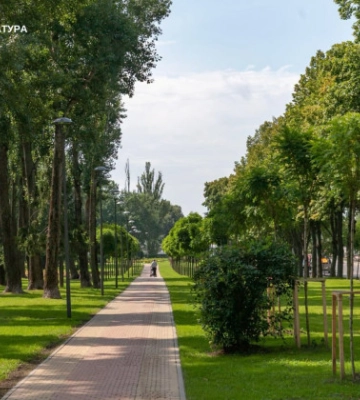 У Києві організована група у складі посадовців «Київзеленбуду» розікрала 3 млн грн на ремонтах парків