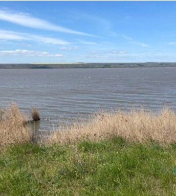 З озера в Ізмаїльському районі заборонили набирати воду: купатися теж не рекомендують