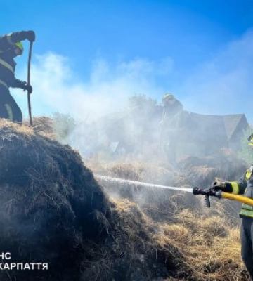 Вогонь ледь не знищив будинок на Хустщині: пожежа в Крайникові могла завершитися трагедією