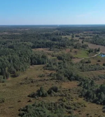 На Волині незаконно передані понад 32 гектари земель лісгоспу повернули державі