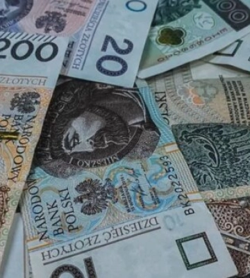 Опалюєте дім дровами? Для вас відкрили окрему виплату: заяви до середини серпня — хто отримає