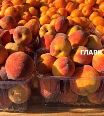 У Києві на вихідних 27-28 червня відбудуться продовольчі ярмарки (адреси)